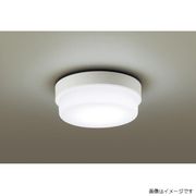 パナソニック 天井直付型 壁直付型 LEDポーチライト 浴室灯 LSEW4062LE1